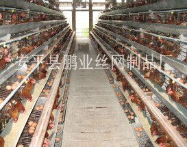 供應(yīng)5層雞籠子 安平縣鵬業(yè)絲網(wǎng)制品廠 蛋雞籠,肉雞籠,鴿子籠,兔子籠,網(wǎng)格布 鋼板網(wǎng)