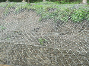 安平縣騰捷金屬絲網(wǎng)制品廠 專業(yè)金屬絲網(wǎng)制品領(lǐng)域的卓越之選